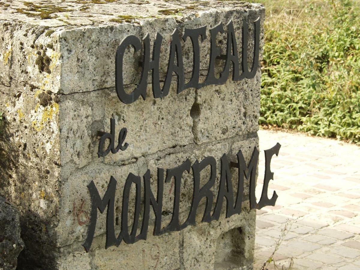 Chateau De Montrame Soisy-Bouy Екстериор снимка